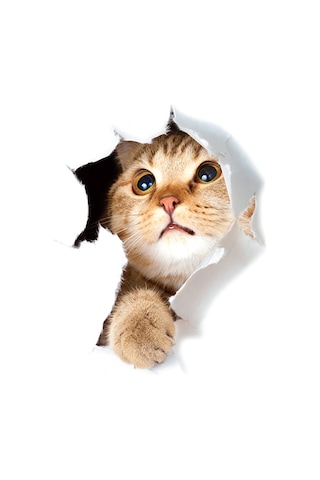 Ranyeek 3d Gerçekçi Kedi Desenli Su Geçirmez Pvc Duvar Sticker - Yumuşak Yüzeylere Uygulanabilir, Renk Kaybı Olmayan Dekoratif Etiket Diğer