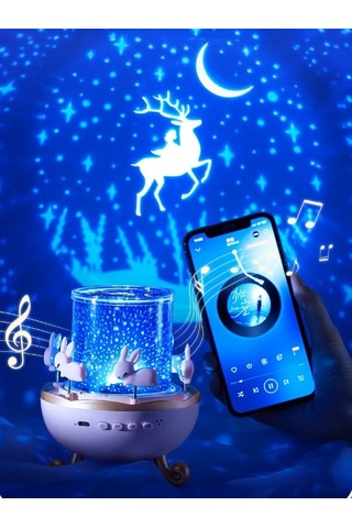 River World Yansıma Yapan Işıl Işık Projektör Atlıkarınca Şeklinde Dönen Tavşan Modelli Çok Renkli