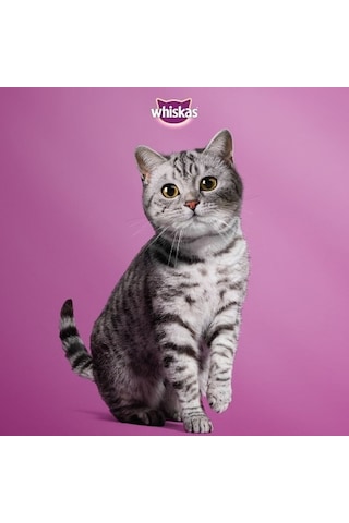 Whiskas Klasik Öğünler Sos İçinde Sığırlı ve Tavuklu Yetişkin Kedi Maması 13'lü 4 x 85 G