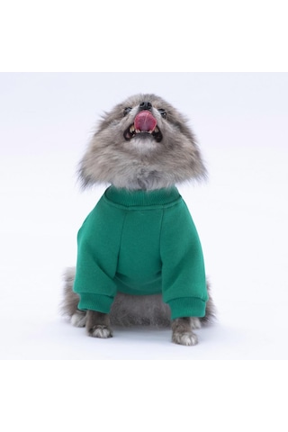 Yeşil Chongqing Kedi Köpek Sweat- Kedi Köpek Kıyafeti