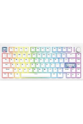 Mk921 Maxfıt8 White White Switch Hotswap Rgb Kablosuz İngilizce Mekanik Gaming Klavye