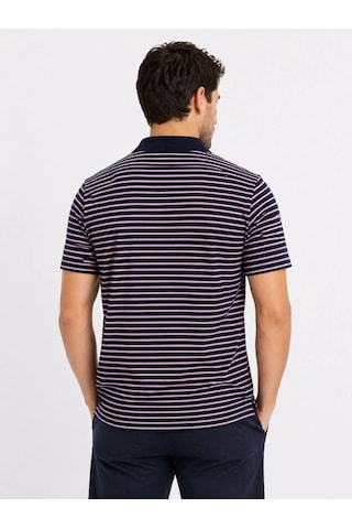 Erkek Pike Kumaş Gül Kurusu Çizgili Polo Yaka Tişört Kısa Kol T-shirt - Siyah Çok Renkli