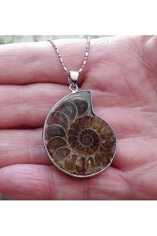 Amonit Fosili Kolye 448