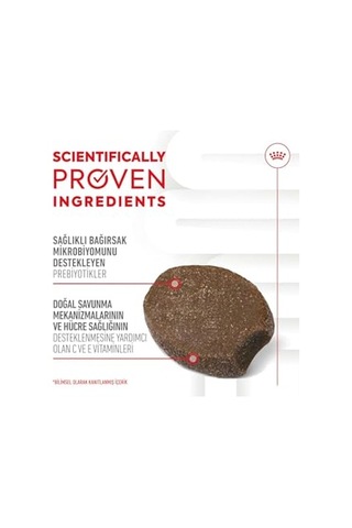 Ayrex Immunity&digestion Chews Yavru Köpekler İçin Bağışıklık Ve Sindirim Sistemini Destekleyen Tamamlayıcı Ö