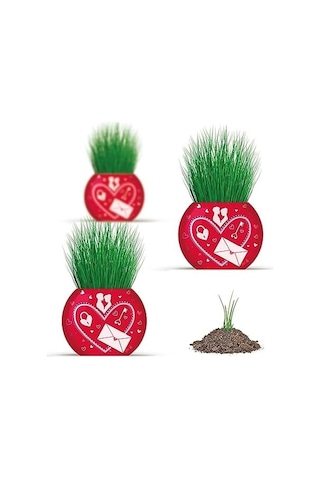 Yuup Aşk Temalı 6'lı Çim Adam Bitki Yetiştirme Seti Romantik Ve Eğlenceli Hediye