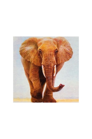 5d Elmas Boncuk Taş Işleme Mozaik Goblen Kit 30x30cm Ms24698 Diamond Painting