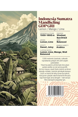 Indonesia Sumatra Mandheling Gdp Gr1 Yöresel Filtre Kahve 250 Gr. Çekirdek Kahve