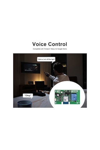 Dancemonkey Tuya Wifi Anahtar 1ch Dc5v-32v Zamanlayıcı, Alexa/google Home Uyumludur