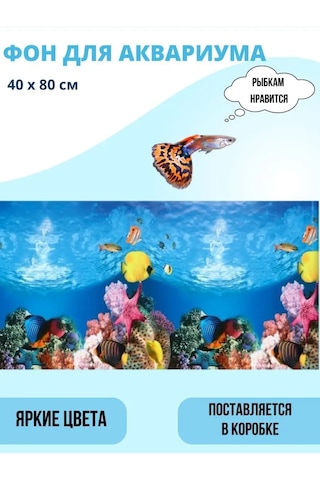 Akvaryum İçin Arka Plan 40x80 Cm 165612435