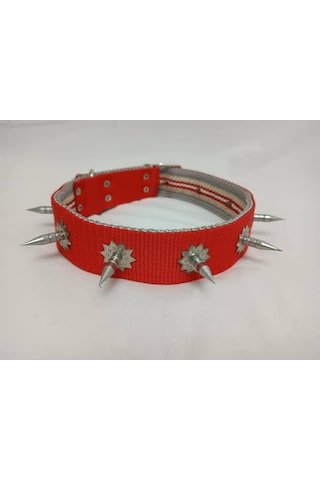 Kozaklı 10459 Çivili Süslü Köpek Tasması Turuncu 70 x 4 CM Turuncu