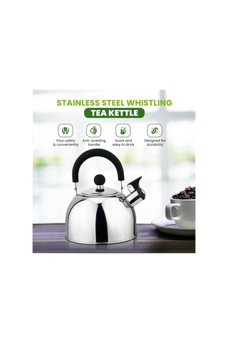 Mutfak Duygusu Paslanmaz Çelik Ocak Soba Team Tea Su Isıtıcısı Naylon Sap, 2.5 Litre, Mutfak Cihazı