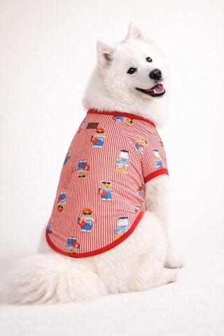 Alphadog Teddy Orta-büyük Irk Köpek T-shirtü