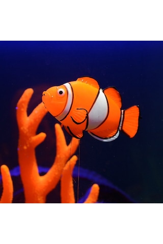 Moveevo Akvaryum Işıklı Silikon Simülasyon Balıkları - Gece Parlak 4'lü Set Amca Balığı, Pembe Mavi Balığı, Guppy, Palyaço Balığı