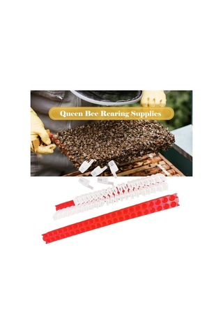 Ulzyvf Taşıma Profesyonel Kullanım Kraliçesi Kolay Kafesi Ekipmanı, Arıcılık Arı - Bk