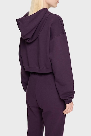 Les Benjamins Bayan Sweat Lb24fwessfuhd-303 Mor Mor