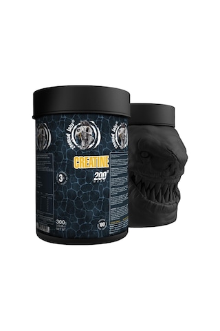 Zoomad Labs Creatine Monohydrate 300 G