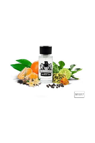 Lion Francesco Scent Of Mexico City Erkek Parfüm EDP 50 ML