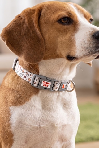 Köpekler İçin Dayanıklı Ve Güvenli, Desenli Boyun Tasması 25mm Gri