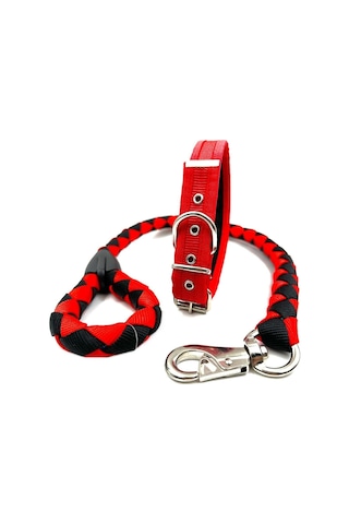 Orta Irk Köpek Gezdirme Ve Boyun Tasması Seti