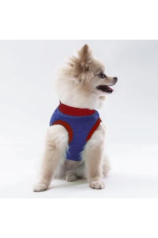 Pawstar Lacivert Summer Time Kedi Köpek Tişörtü Kıyafeti