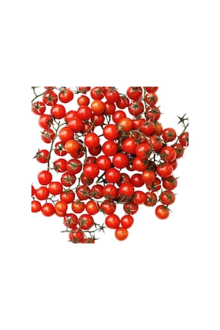 Domates Cherry Çeri Tohumu 100+ Adet Tohum Balıkesir