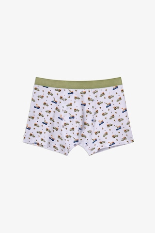 Penti Haki Erkek Çocuk Dino in The Field 3'lü Boxer