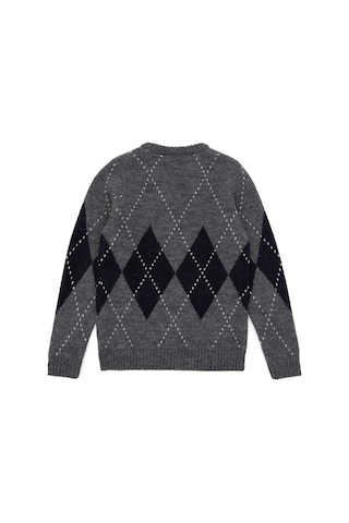 U.S. Polo Assn. Erkek Çocuk Açık Gri Melanj Bisiklet Yaka Kazak 50295513-VR091