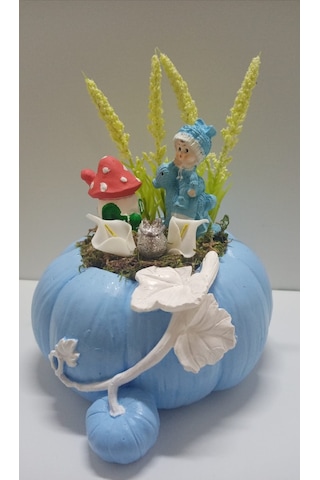 Neolife Yeni Doğan Erkek Bebek Aramıza Hoş Geldin Hediyesi Kabak Teraryum