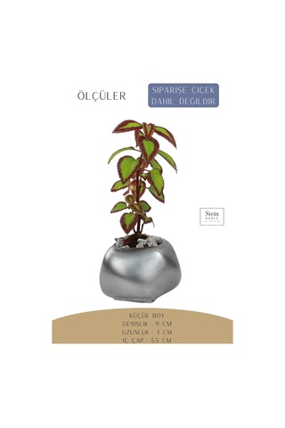 Çiçek Saksısı Dekoratif Kaktüs Saksı 1 Adet Spiral Oval Model - Gümüş Eskitme