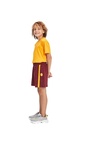 Gsstore Galatasaray Çocuk Şort C241081 Bordo