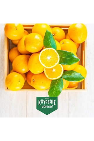 Kb Köyceğiz Yöresel Köyceğiz Portakalı 8 KG