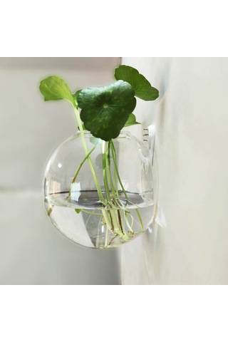 Reedark Modern Yarı Daire Şeffaf Su Kültürü Vazo, Minimalist Ev Dekorasyonu İçin Cam Bitki Saksısı