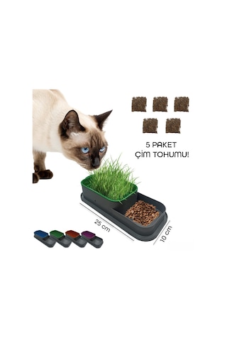 Periboia Topraksız Kedi Çimi Kabı