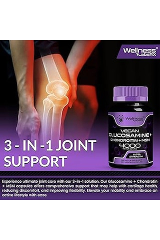 Wellnees Labs Glucosamine + Chondroitin + Msm 4000 120 Kapsül