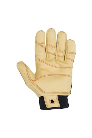 Ct Progrip Plus  Eldiven Çok Renkli