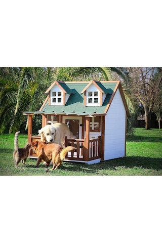 Ultra Lüks Ahşap Köpek Kulübesi Evi