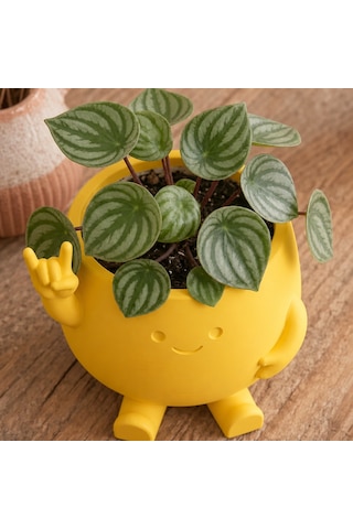 Northcity 3d Baskı Smiley Face Planter - Gülümseyen Karakterli Saksı-sarı