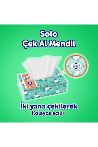 Solo Çek-Al Mendil 12 x 150'li