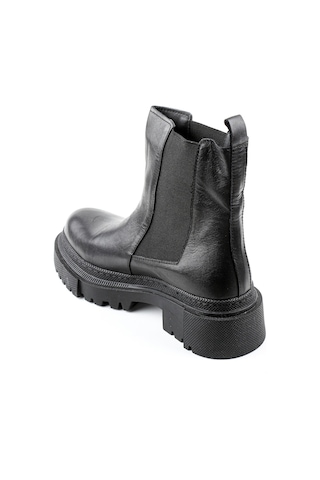 Dexter Tp22515-1 Renkli