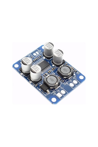 TPA3118 60W Mono Digital Ses Amfi Modül DC 12V-24V Tek Kanal Class D Amplifikatör Amfi Amplifier