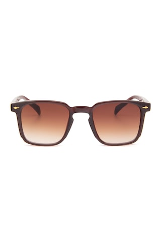 Falenti Ae981-c2 49 Unisex Güneş Gözlüğü Kahverengi