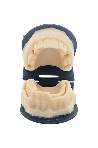 Barışhan Medikal Silikon Çene Diş Dikiş Modeli Ortodontik Alt Üst Çene Periodontal Sütür Eğitim Modeli-2