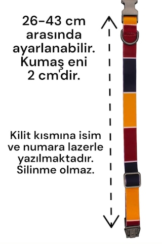 Caramelos Köpek Tasması-küçük Irk Ve Orta Irk İsimli Tasma 01 Sarı - Siyah