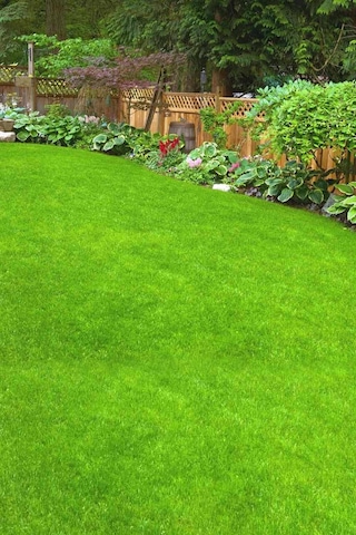 5 Adet Çim Tohumu İthal 7 Mix Ankomer 1'lik Paketler