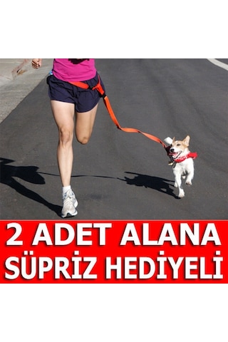Bundera Köpek Tasması Eller Serbest Koşu Yürüyüş Bel Kemeri Kayış Siyah
