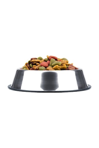 Noyiska Paslanmaz Çelik Metal Kedi Köpek Mama ve Su Kabı