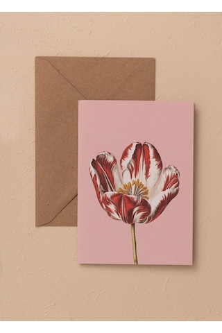 The Mia Art Line Mini Tebrik Kart Seti Tulip10 X 14 Cm