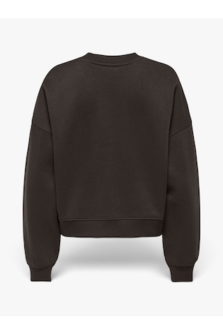 Only Onlbest L/s Crew Neck Swt Kadın Kahverengi - 15338727