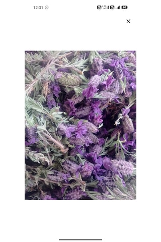 Karabaş Otu Çayı Kurutulmuş/yeni Mahsül 50 Gr Karabaş Otu Çayı Kurutulmuş/yeni Mahsül 50 Gr