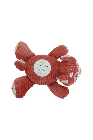 Prego Müzikli ve Gece Işıklı Ceylan P210622